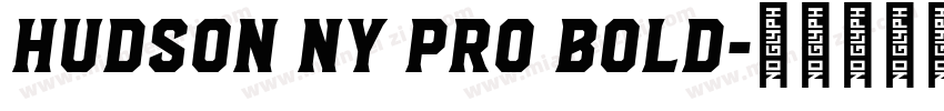 Hudson NY Pro Bold字体转换